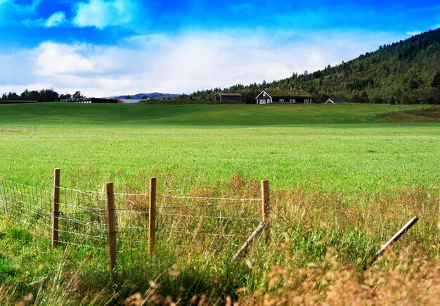 Premium Photo | Norway farm field landscape with fence background hd