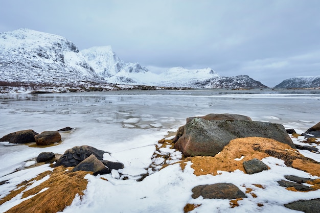 Premium Photo | Norwegian fjord in winter