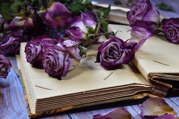 ノスタルジックなヴィンテージ気分背景 装飾的な紫色のバラのつぼみと古い手紙を乾燥させます プレミアム写真