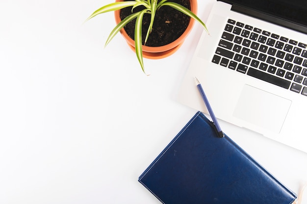 Free Photo | Notebook and pen near laptop and plant