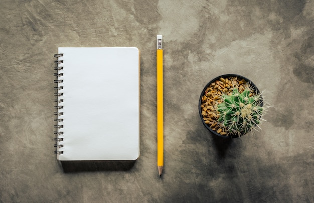 Notebook pencil and cactus on cement board view from above. Premium Photo