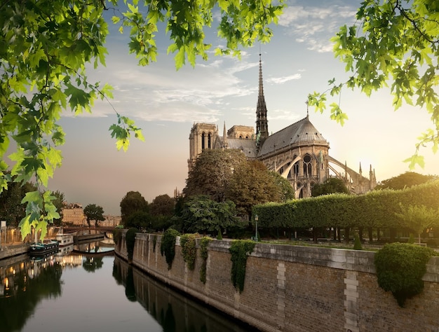 Premium Photo | Notre dame and park on river seine in paris, france