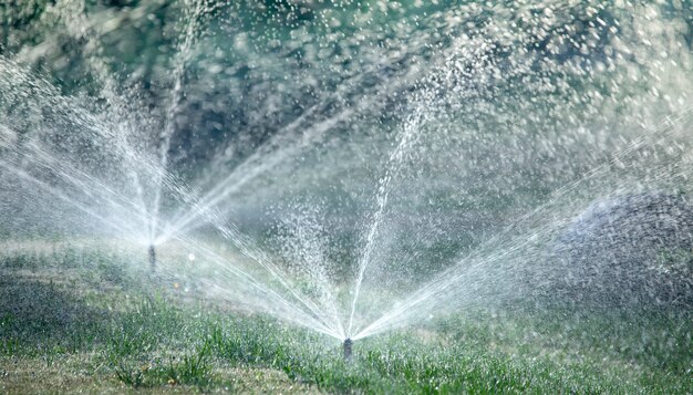 Premium Photo | Nozzle automatic lawn watering macro close up