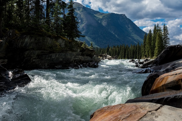 Premium Photo | Numa creek. scenic mountain views of the kootenay river ...