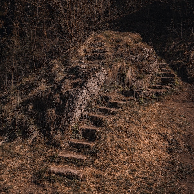 Premium Photo | Old abandoned dilapidated stone steps in nature overgrown moss near the mountain