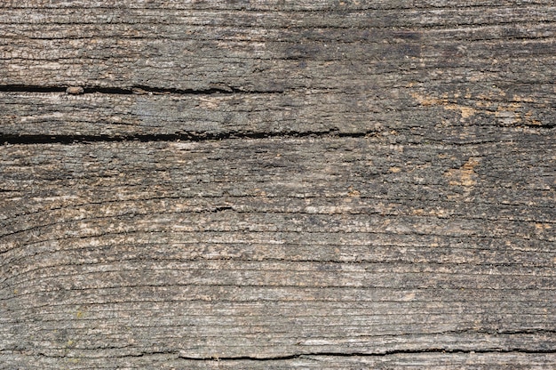 Premium Photo | Old aged wood planks, texture with natural pattern