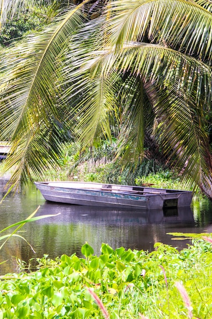 Premium Photo | Old boat under a palm tree on the lake