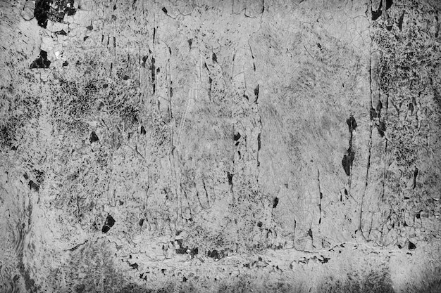 Premium Photo Old Cracked Rusty Paint Background Texture Close Up Black And White