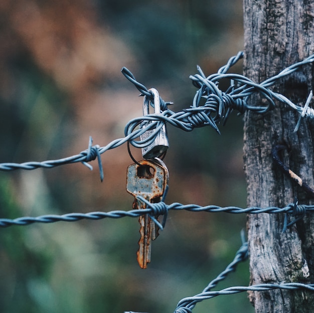 old barbed wire