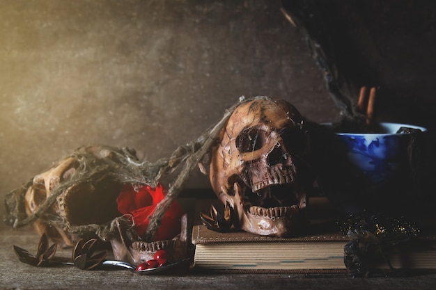 Old skull death in dark room, still life photography Premium Photo