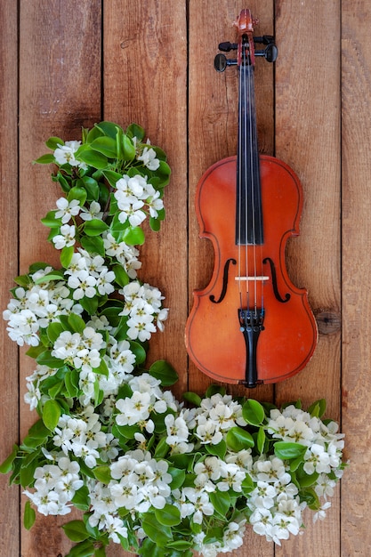 Old violin and blossoming apple tree branches. Photo ...