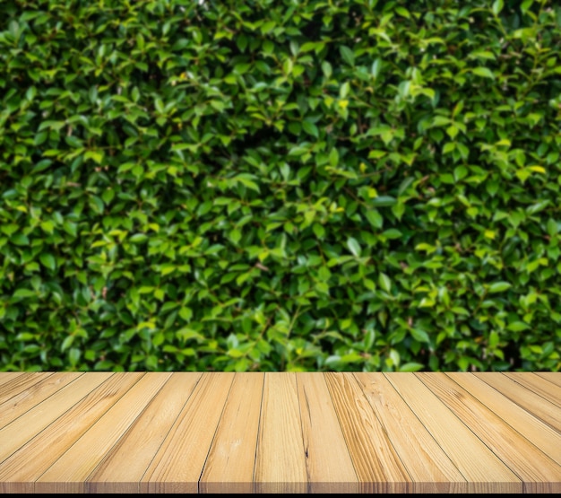 Premium Photo | Old wood plank with abstract natural green leaves ...