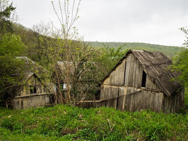 森の中で古い木造の小屋 木造住宅を破壊した 苦境 プレミアム写真