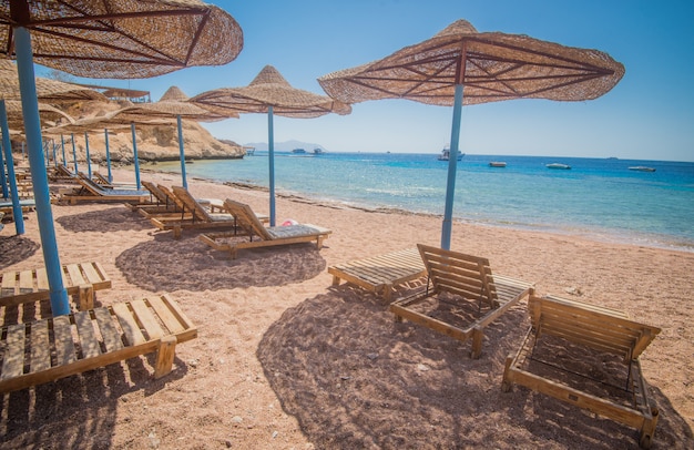One of the most beautiful beach in egypt Premium Photo