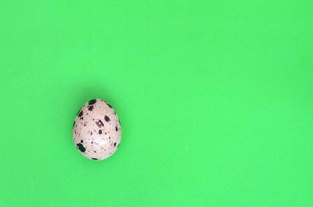 One quail egg on a light green surface Premium Photo