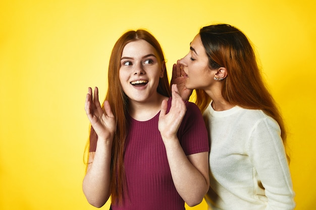 ある赤毛の女の子が耳の中で別の白人の女の子にささやきます 無料の写真