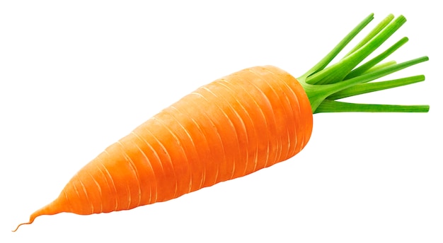 Premium Photo | One whole carrot isolated