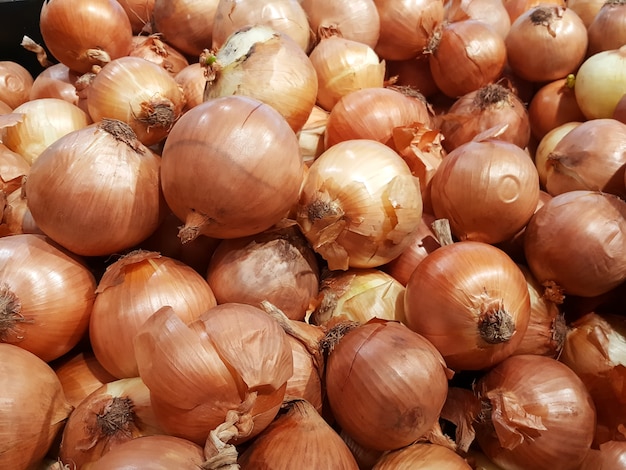 Live Onion Market