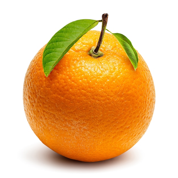 Orange crop isolated | Premium Photo