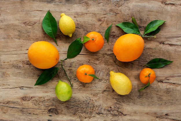 types of oranges tangerines