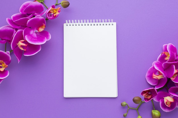 Download Premium Photo | Orchid flowers with empty notepad mock-up