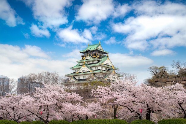 日本の桜の庭と大阪の観光観光の大阪城 プレミアム写真