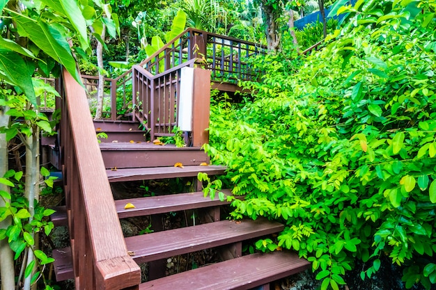 Premium Photo | Outdoor wooden stair in the forest