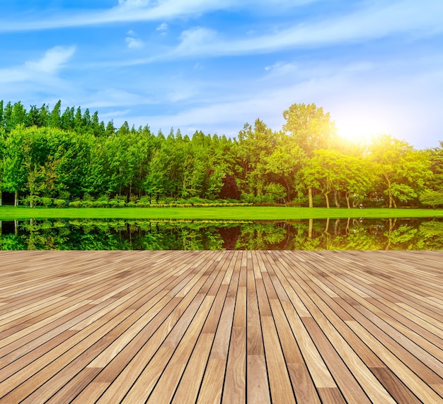 outdoors green freshness deciduous foliage nature Free Photo outdoors green freshness deciduous foliage nature Free Photo