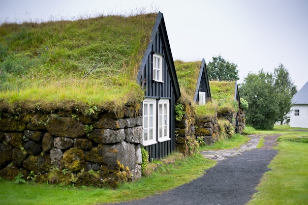 Premium Photo | Overgrown typical rural icelandic house at overcast day