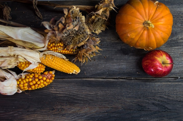 Premium Photo | Overhead view of fall harvest on rustic wood with place ...