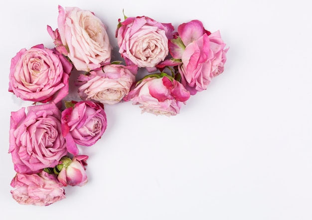 Free Photo | Overhead view of pink roses on white surface