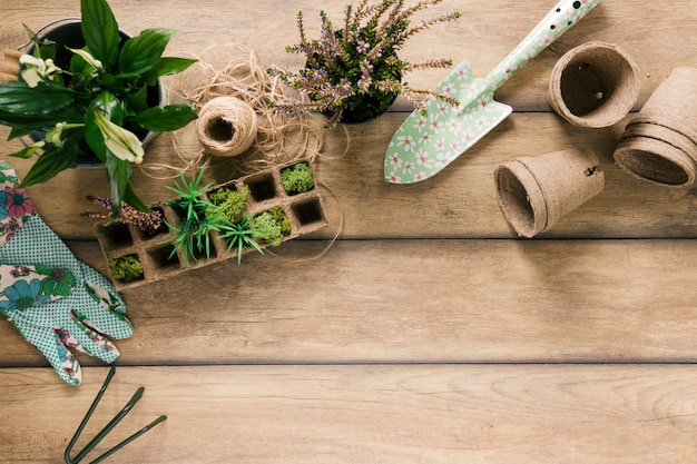 Overhead view of plants in peat tray; glove; showel; peat pot; flowering plant; rake and string on brown table Free Photo