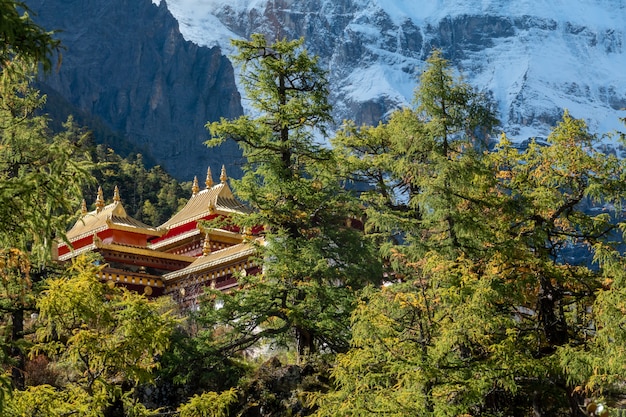 Premium Photo | Overview of chong gu temple on autumn hill at yading ...