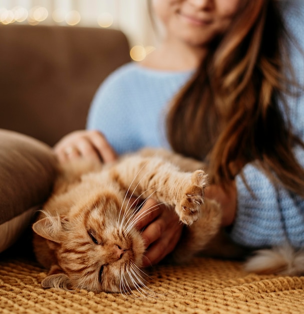 Premium Photo Owner Petting Adorable Cat