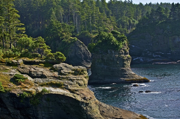 Pacific Shore Cliffs Photo | Free Download