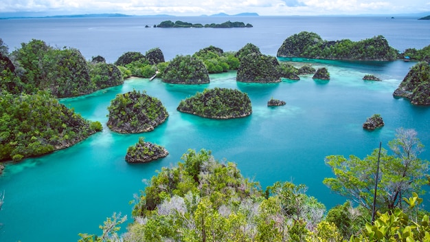 Painemo island, blue lagoon, raja ampat, west papua, indonesia Premium Photo