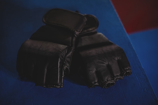 Download 17+ Mma Glove Mockup Back View Pictures Yellowimages ...