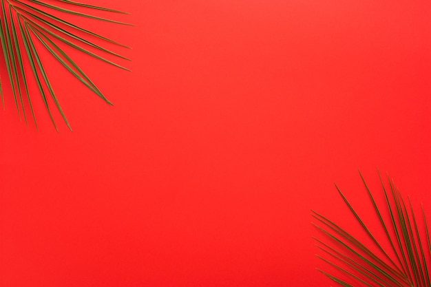 Palm leaves at the corner of bright red backdrop | Free Photo