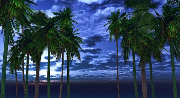 Free Photo | Palm trees in the night