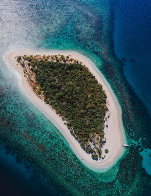 Premium Photo | Pamalican island in the philippines, coron province ...