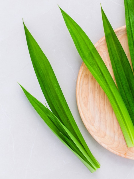 Premium Photo | Pandanus leaf on white background.