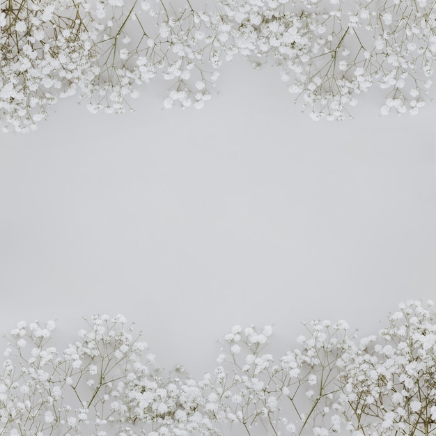 Free Photo | Paniculata flowers on grey background with ...