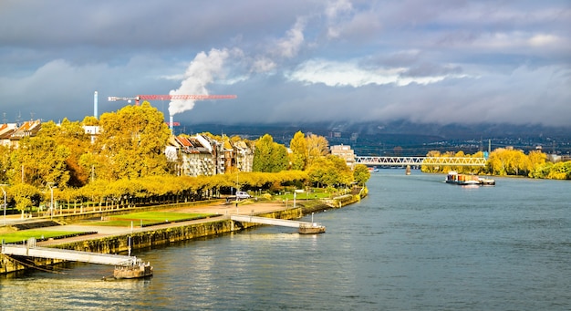 Река рейн в германии фото