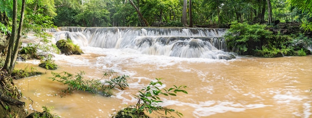 Premium Photo | Panorama waterfall in a forest