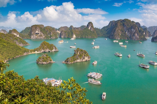 Premium Photo | Panoramic aerial view of halong bay, vietnam in a ...