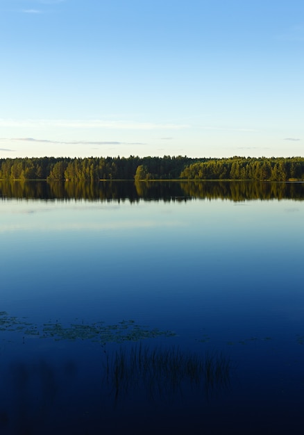 Premium Photo | Panoramic views of the river and the forest on the banks