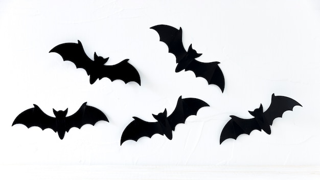 Bats | Free Vectors, Stock Photos & PSD