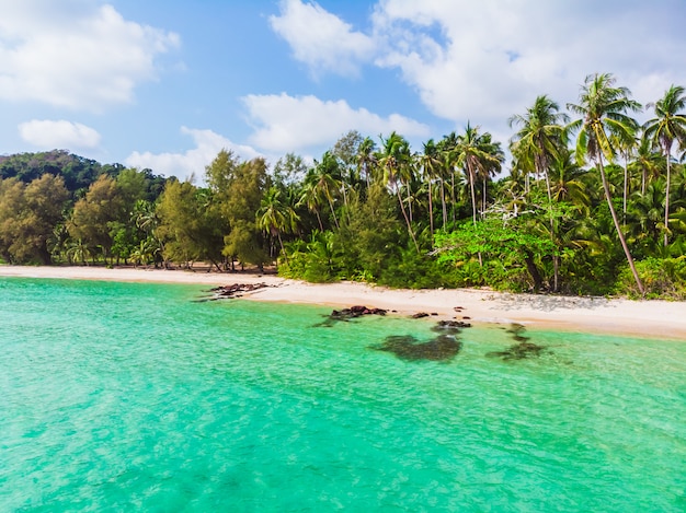 Premium Photo | Paradisiac island with crystal clear water