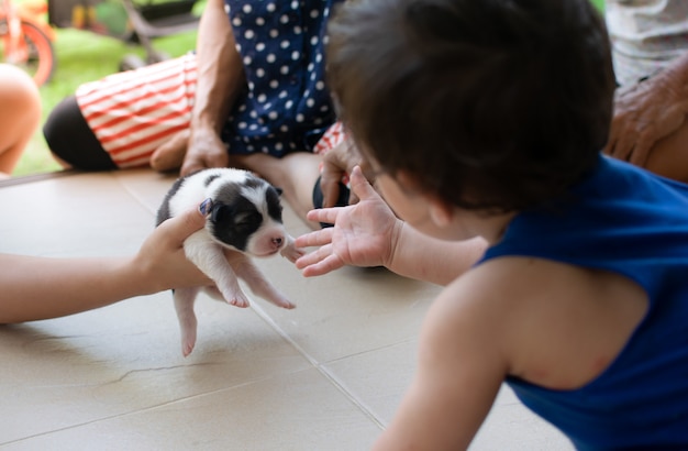 premium-photo-parents-give-puppy-to-the-kid-for-the-first-time