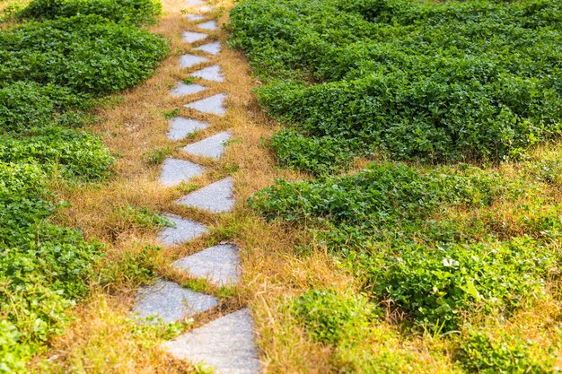 Premium Photo Pathway In Garden Green Lawns With Bricks Pathways